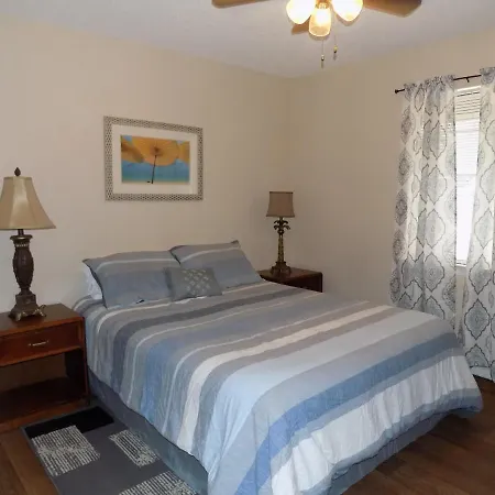 Cozy Comfort Apartment